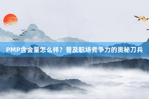 PMP含金量怎么样？普及职场竞争力的奥秘刀兵